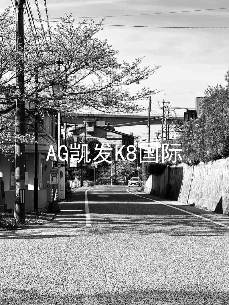 AG凯发K8国际